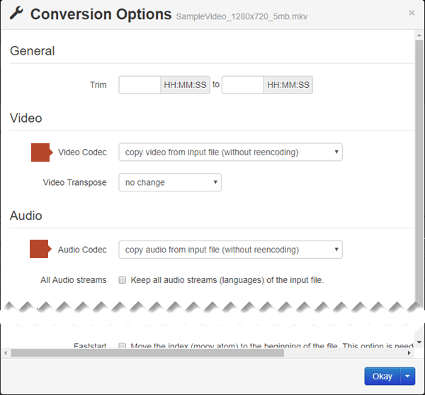 جعبه محاوره ای Conversion Options دارای گزینه های Video Code و Codec Audio می باشد
